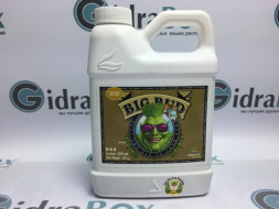 Big Bud Coco Liquid 0,5 л | Advanced Nutrients