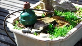 Система капельного полива