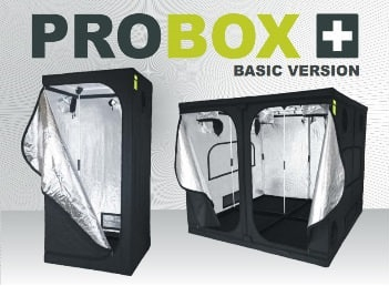 Probox Basic