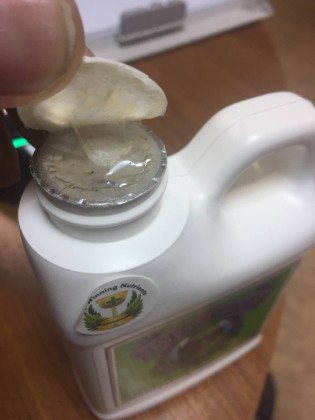 Big Bud Liquid 0,25 л | Advanced Nutrients Брак