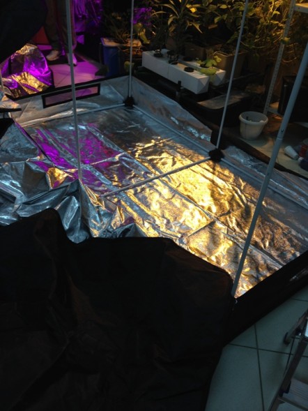 Гроубокс 240*120*200 см в сборе: EcoPro Double