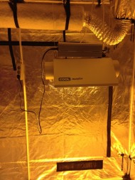 Гроубокс 240*120*200 см в сборе: EcoPro Double