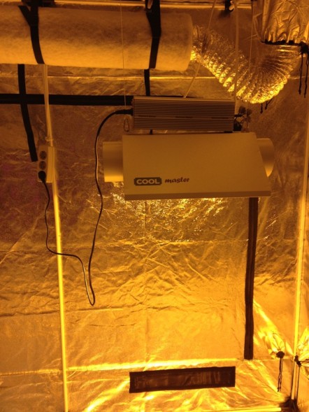 Гроубокс 240*120*200 см в сборе: EcoPro Double