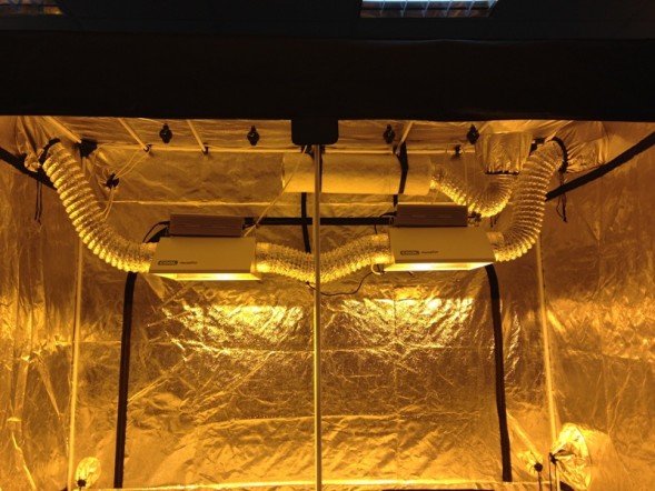 Гроубокс 240*120*200 см в сборе: EcoPro Double