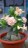Cactus Desrt Rose - magic flowers - 10 seeds