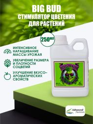 Big Bud Liquid 0,25 л | Advanced Nutrients