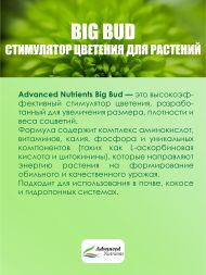 Big Bud Liquid 0,25 л | Advanced Nutrients