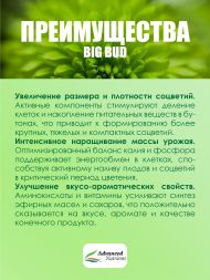 Big Bud Liquid 0,25 л | Advanced Nutrients