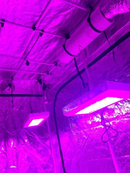 Готовый гроубокс 600 Вт LED