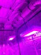 Готовый гроубокс 600 Вт LED