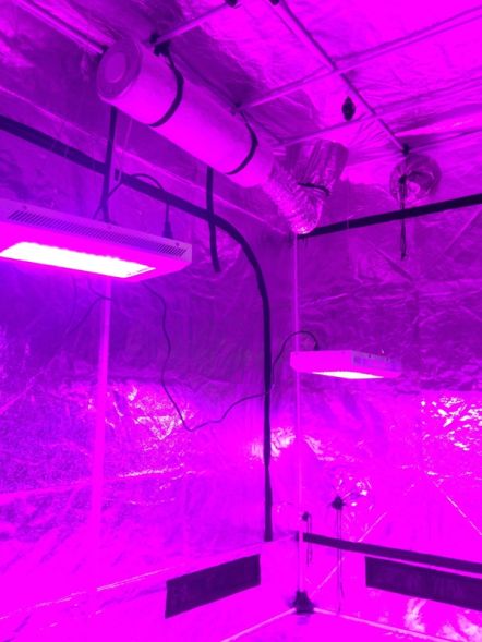 Готовый гроубокс 600 Вт LED