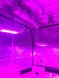 Готовый гроубокс 600 Вт LED