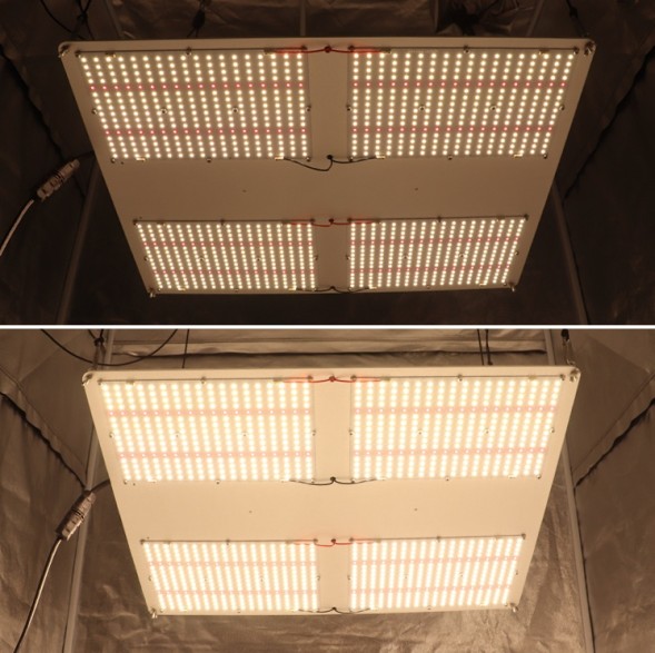 Светильник Quantum board 480W Samsung LM301B 3500К Epistar