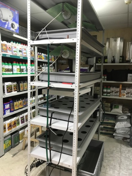 Сити-ферма старт 4