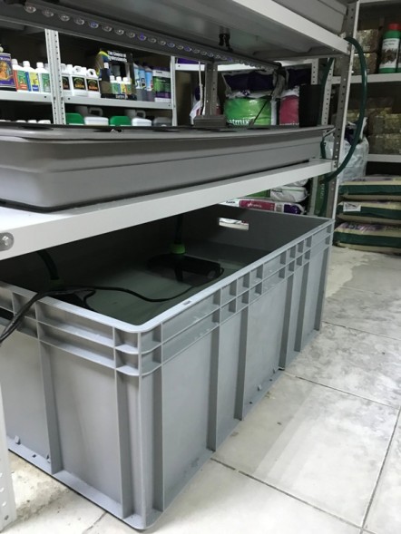 Сити-ферма старт 4