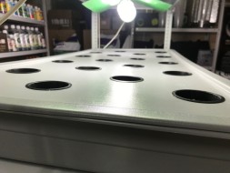 Сити-ферма старт 4