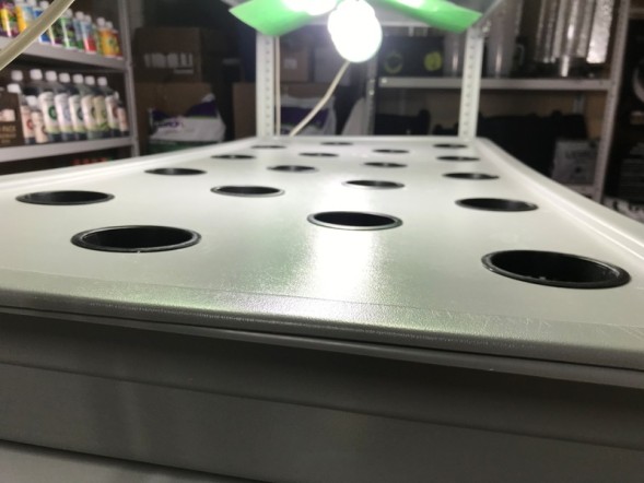 Сити-ферма старт 4