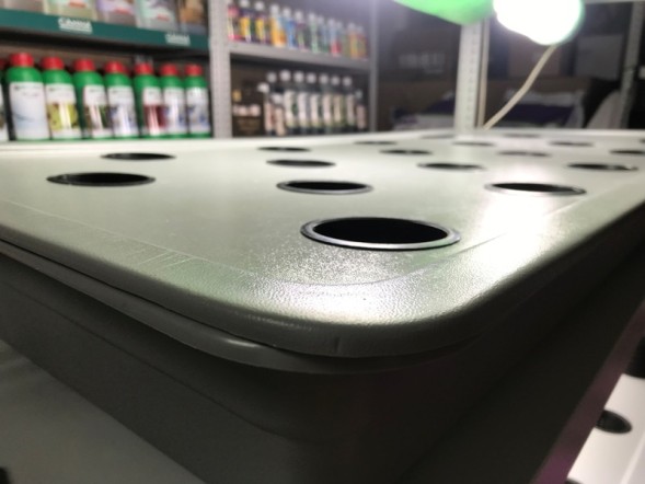 Сити-ферма старт 4