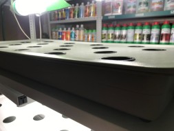 Сити-ферма старт 4