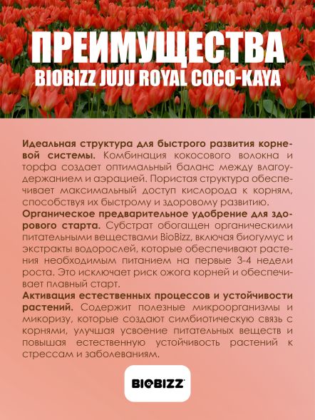 Субстрат BioBizz Juju Royal Coco-Kaya 50 л