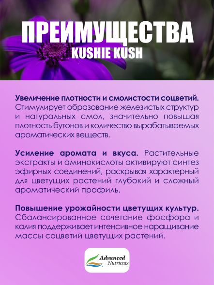 Kushie Kush 0,5 л | Advanced Nutrients