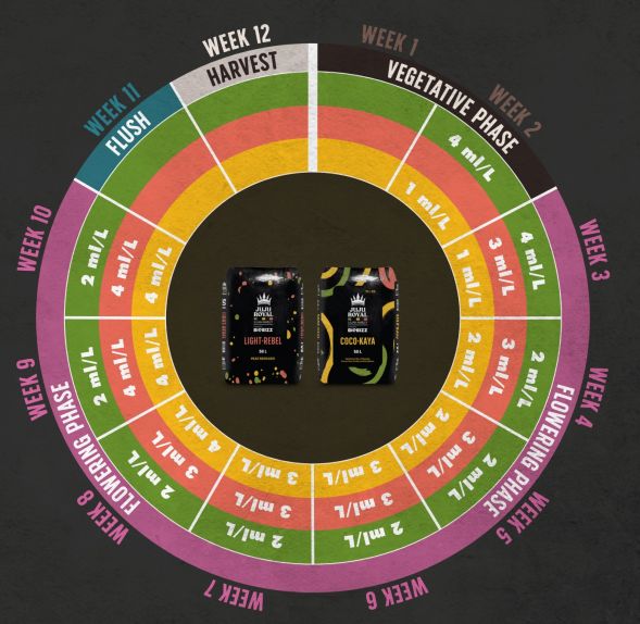 Субстрат BioBizz Juju Royal Light-Rebel 50 л