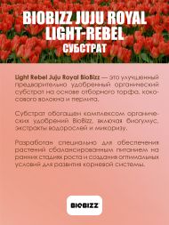Субстрат BioBizz Juju Royal Light-Rebel 50 л