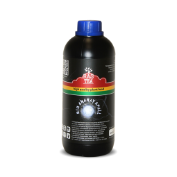 RasTea Bio-Energy Spell 1 л / стимулятор метаболизма