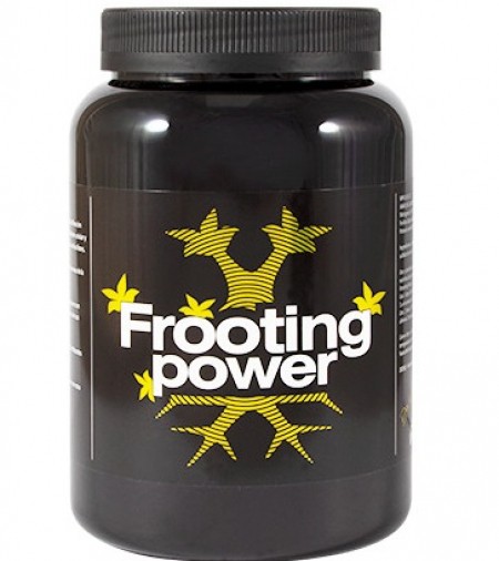 Стимулятор цветения Frooting Power 325 г B.A.C