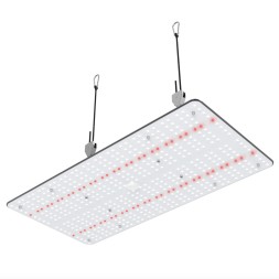 Светодиодный LED светильник DZ32 / 240 Вт