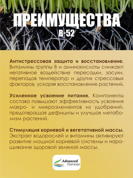 Стимулятор для растений B-52 100 мл | Advanced Nutrients