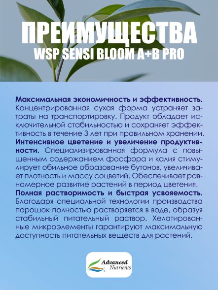 WSP Sensi Bloom A+B Pro 0,5 кг | Advanced Nutrients