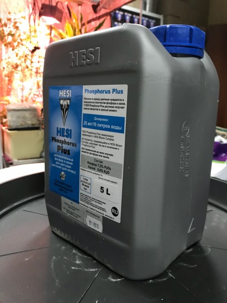 Активатор цветения Hesi Phosphor Plus 5 л