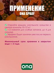 Нейтрализатор запаха спрей ONA Fruit Fusion 250 мл