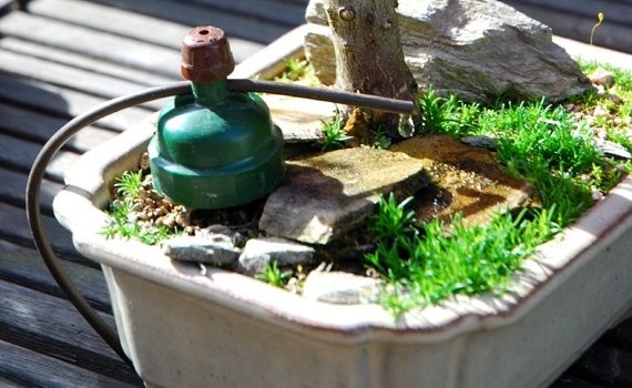 Капельница Tropf-Blumat Maxi 