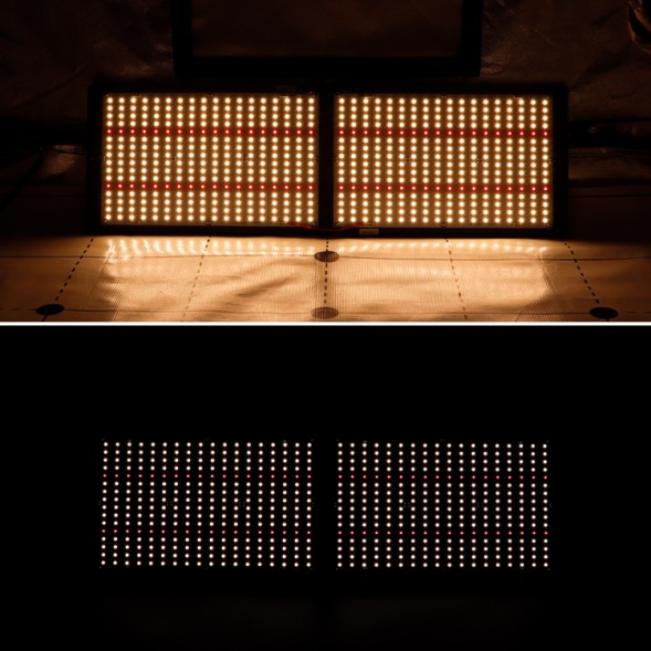 Светильник Quantum board 240 W Samsung LM301H Cree xpe2 660nm 3000К UV IR