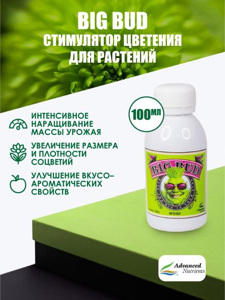 Big Bud Liquid 100 мл | Advanced Nutrients