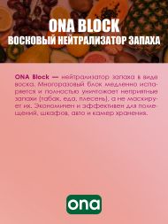 Нейтрализатор запаха ONA Block Fruit Fusion 170 г