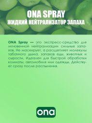 Нейтрализатор запаха спрей ONA Apple Crumble 250 мл