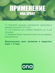 Нейтрализатор запаха спрей ONA Apple Crumble 250 мл