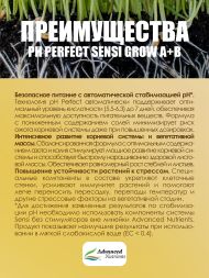 Sensi Grow A+B 0,5 л | Advanced Nutrients