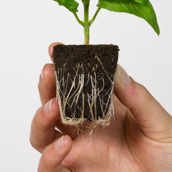 Кубик для рассады Root Riot 1 шт.