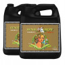 Sensi Coco Bloom A+B 4 л | Advanced Nutrients