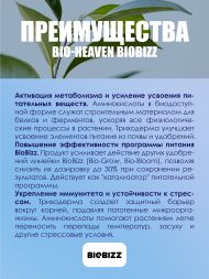 Стимулятор роста BioHeaven BioBizz 250 мл