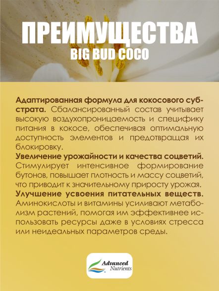 Big Bud Coco Liquid 1 л | Advanced Nutrients