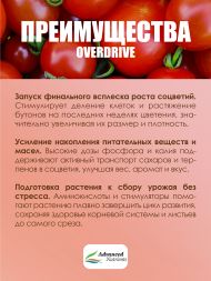 Overdrive 1 л | Advanced Nutrients