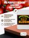 pH Perfect Bloom 5 л | Advanced Nutrients
