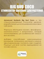 Стимулятор для растений Big Bud Coco Liquid 0,25 л / Advanced Nutrients