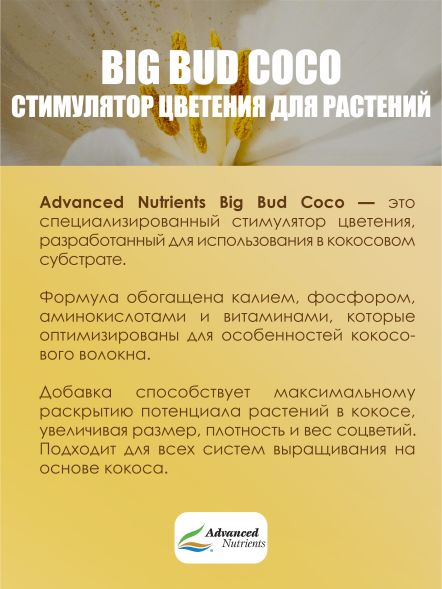 Стимулятор для растений Big Bud Coco Liquid 0,25 л / Advanced Nutrients