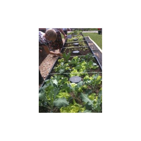 Капельное орошение AQUAbox Spyder